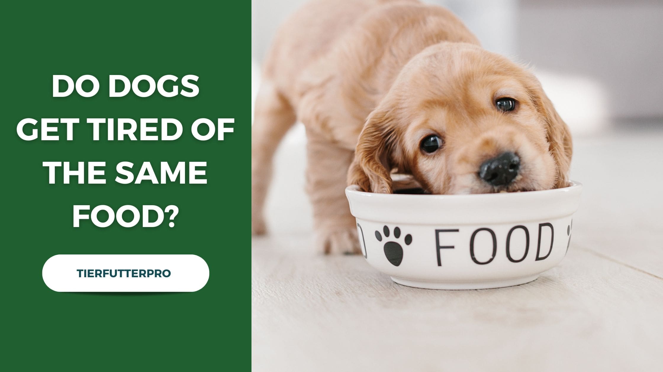 Do Dogs Get Tired of the Same Food