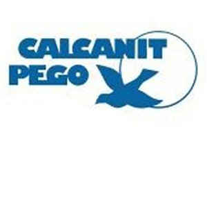 Calcanit Pego