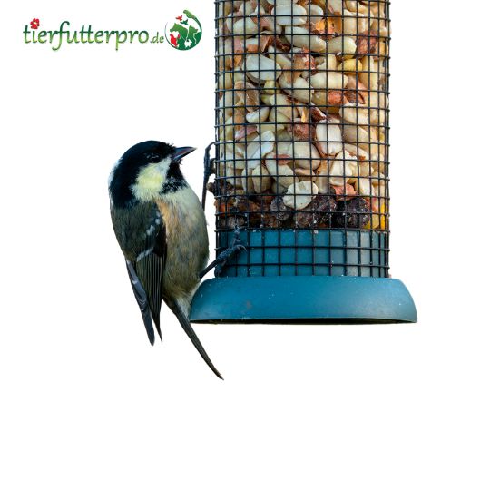 Zusatzfutter für Wild- und Gartenvögel Kategorie