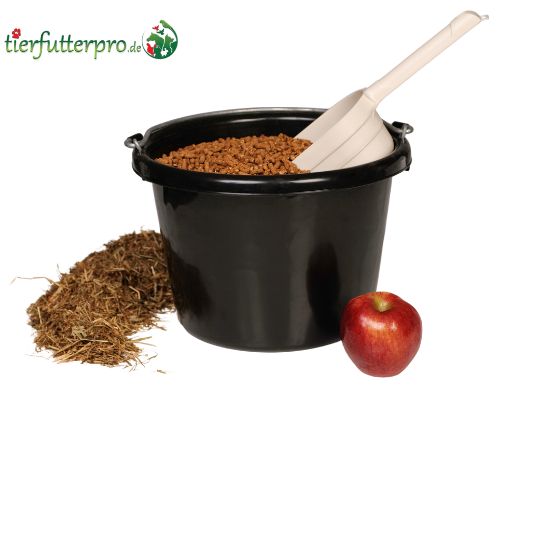 Ergänzungsfutter für Pferde