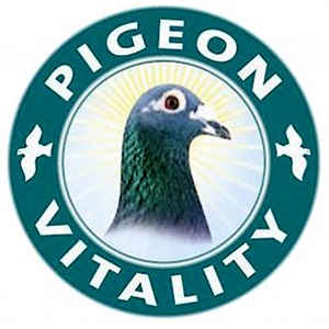 Pigeon Vitality