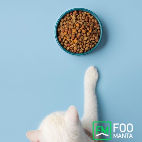 Tiernäpfe für Katzen