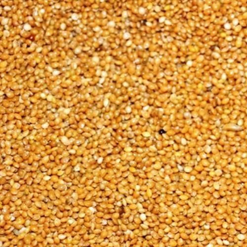Hirse Gelb