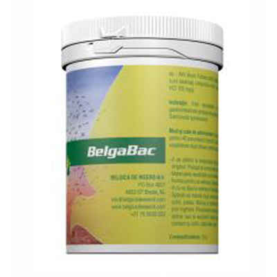 De Weerd - BelgaBac 300g für Haustiere im Tierfutterpro Shop