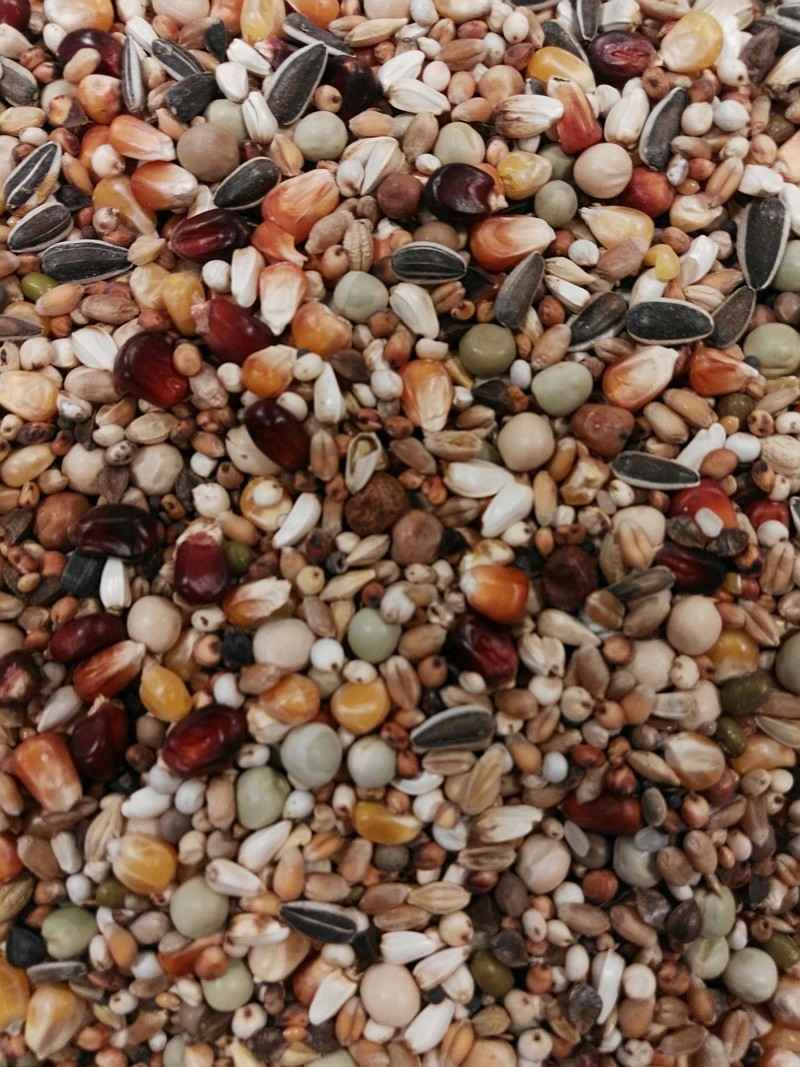 BTS Allround Topp Futter 20kg (Versandkostenfrei) für Haustiere im Tierfutterpro Shop