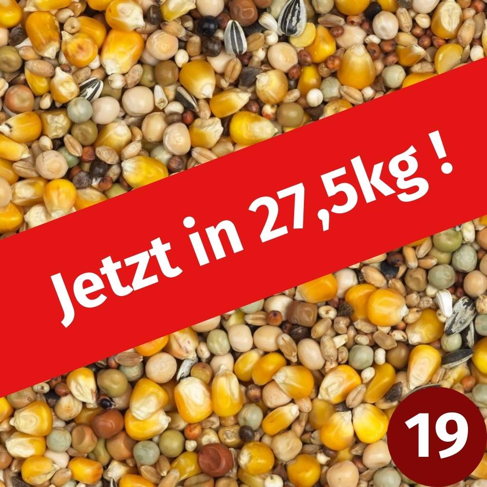Vanrobaeys - Breeding and Travel Standard No. 19 27.5kg (free shipping)