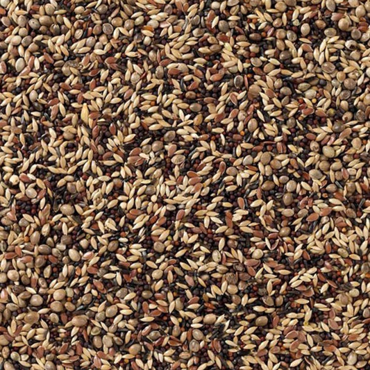 Deli Nature Nr. 48 Zeisige & Stieglitze 20 kg