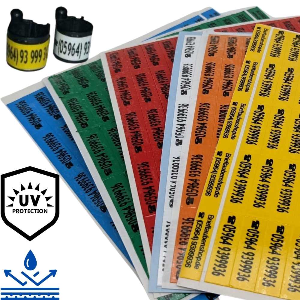 Ring stickers: 60 pieces per pack