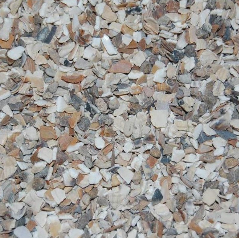 Paloma Grit für Hühner 10 kg Geflügelgrit aus Muschelkalk
