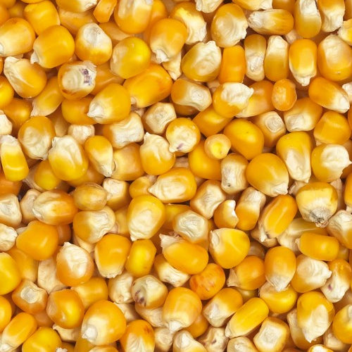 Eurital Yellow Crisp Mais 5 kg