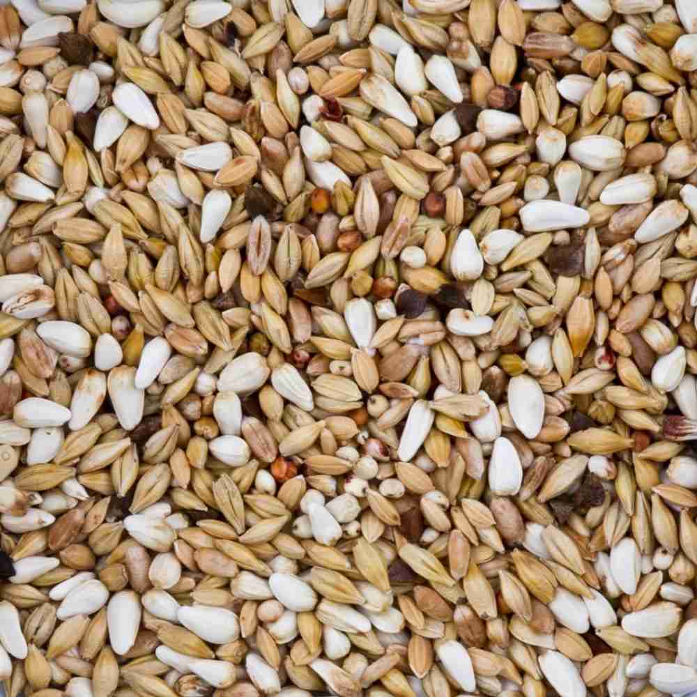 Alleinfuttermittel für Tauben BEYERS Diät Spezial Nr.23 25kg