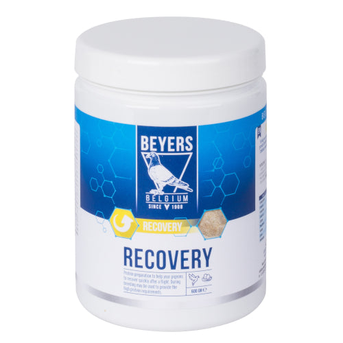 Beyers Recovery 600g für Haustiere im Tierfutterpro Shop