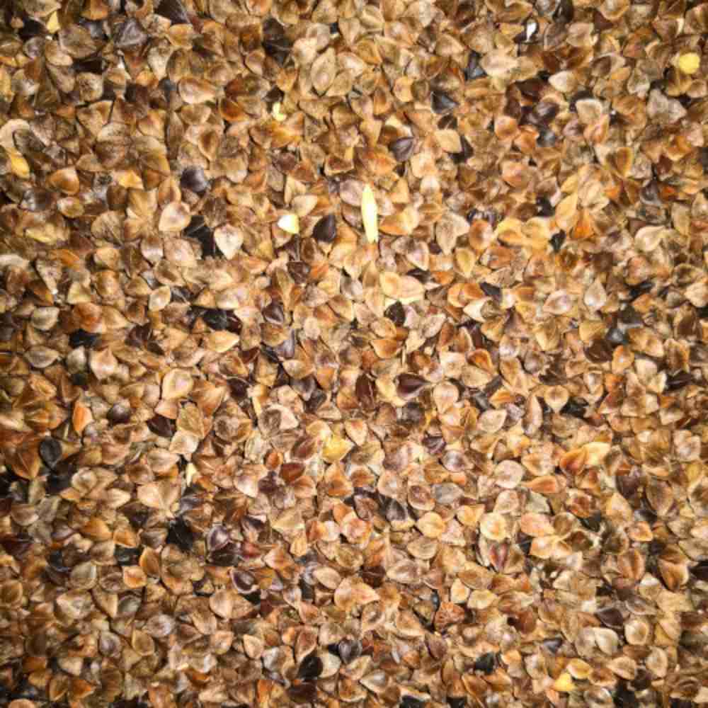 Eurital Buchweizen 5 kg – ballaststoffreiches Premiumfutter für Wild- und Ziervögel