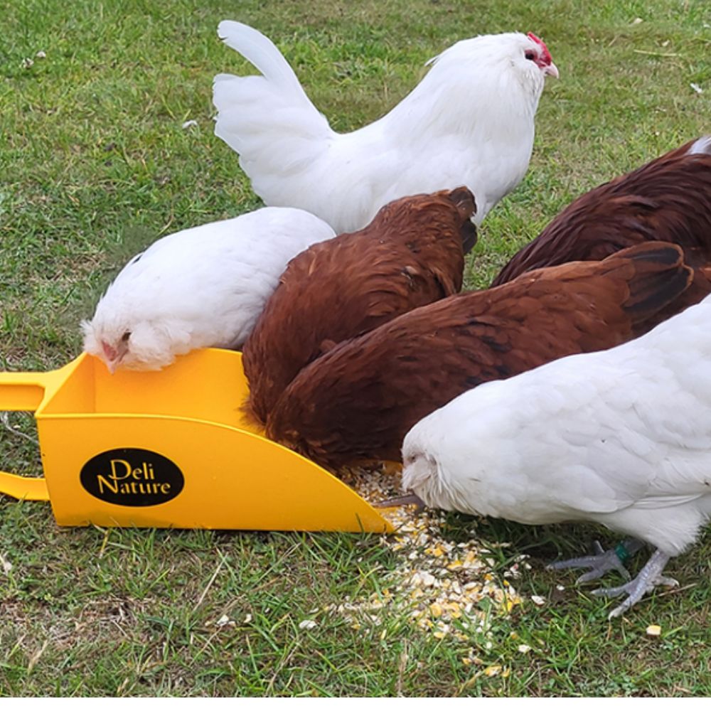 Deli Nature Hobbyline gebrochene Getreidemix 20kg