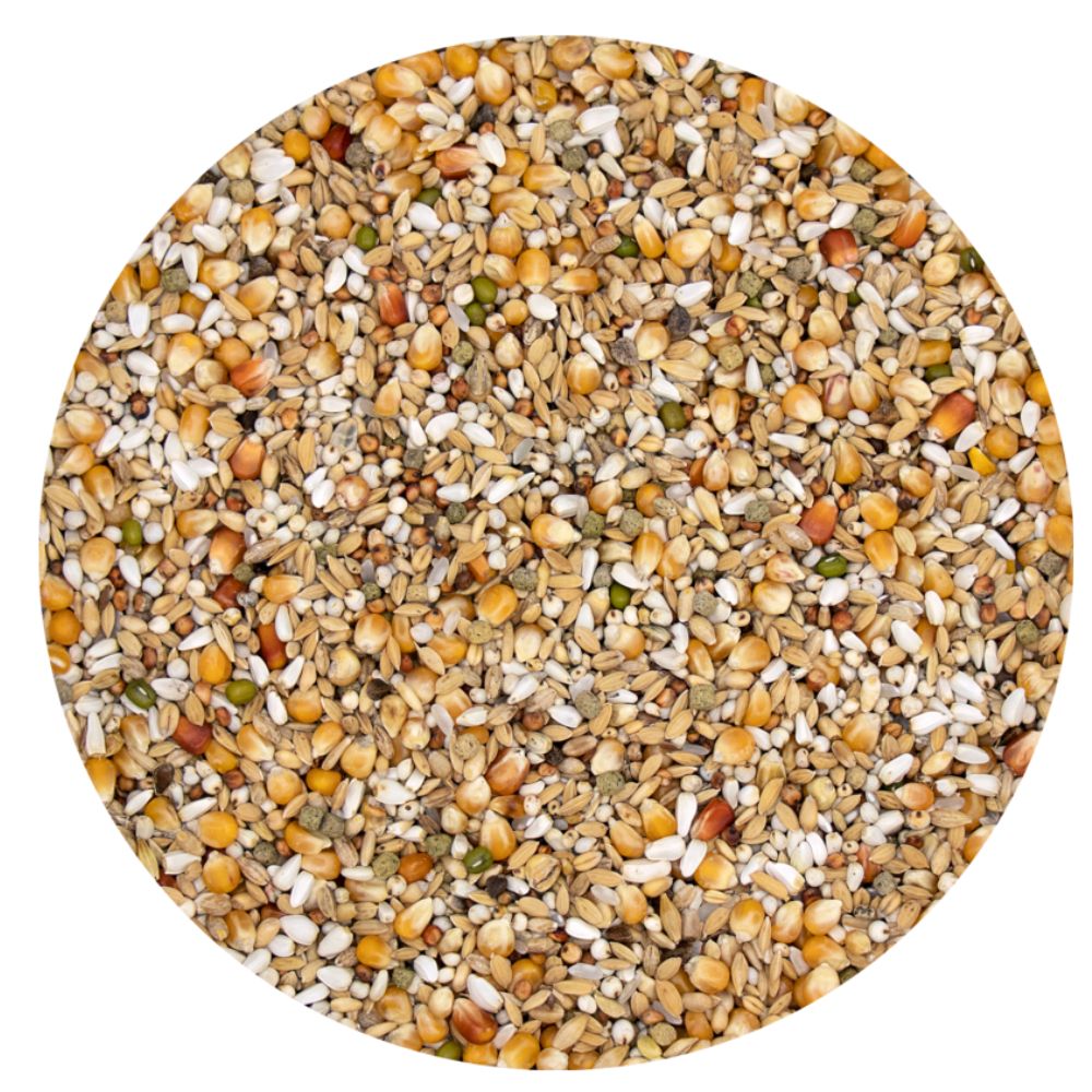 Versele Laga Plus Gerry 20kg + 2kg gratis (versandkostenfrei)