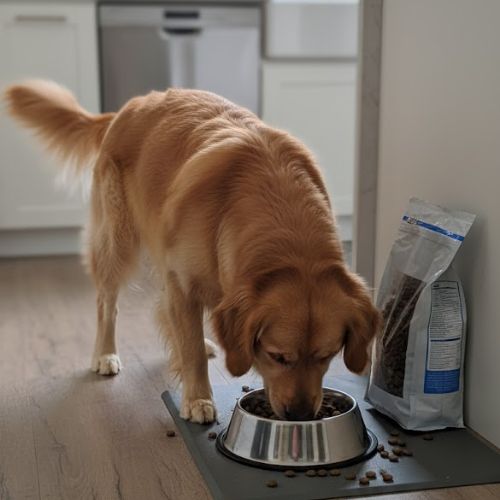 Eurital Dog Choice- Schwein mit SÃ¼ÃŸkartoffel und Apfel