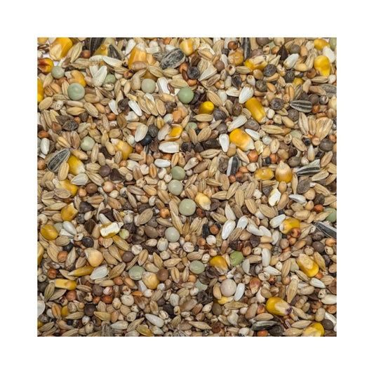 Foofine Usbeken Vital, Rassetaubenfutter, Futter für Rassetauben