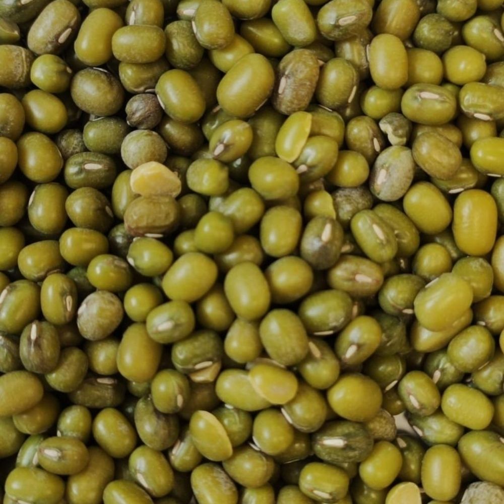 Eurital Katjangbohnen 5 kg - Mungbohnen