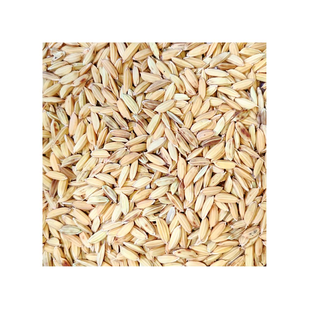 Eurital Paddy Reis 5 kg