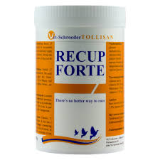 Tollisan Recup-Forte 300g fÃ¼r Haustiere im Tierfutterpro Shop