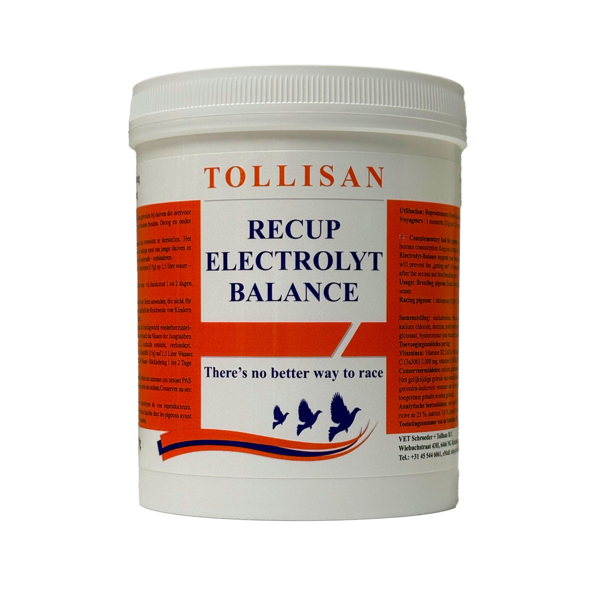 Tollisan Recup Electrolyte Balance 500g