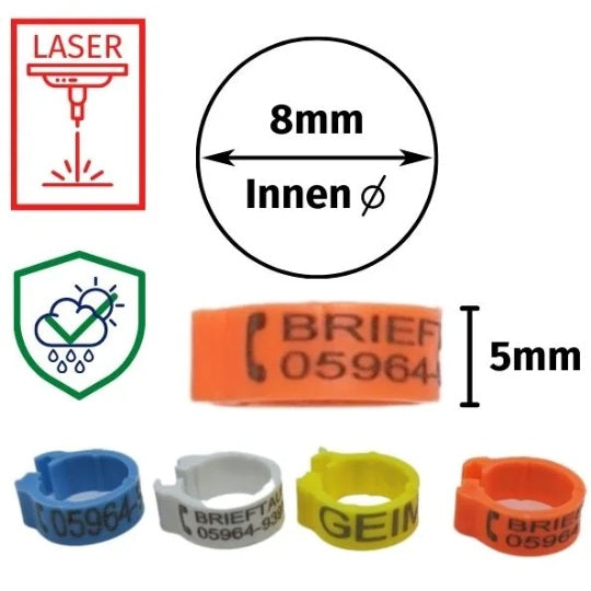 Numbered clip rings (engraved with 1 to ...) 