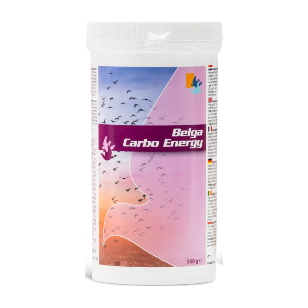 De Weerd Belga Carbo Energy 300 g Dose