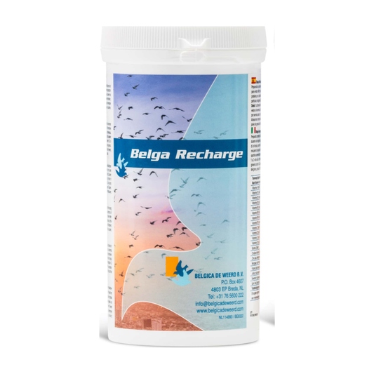 De Weerd Belga Recharge 300 g Dose
