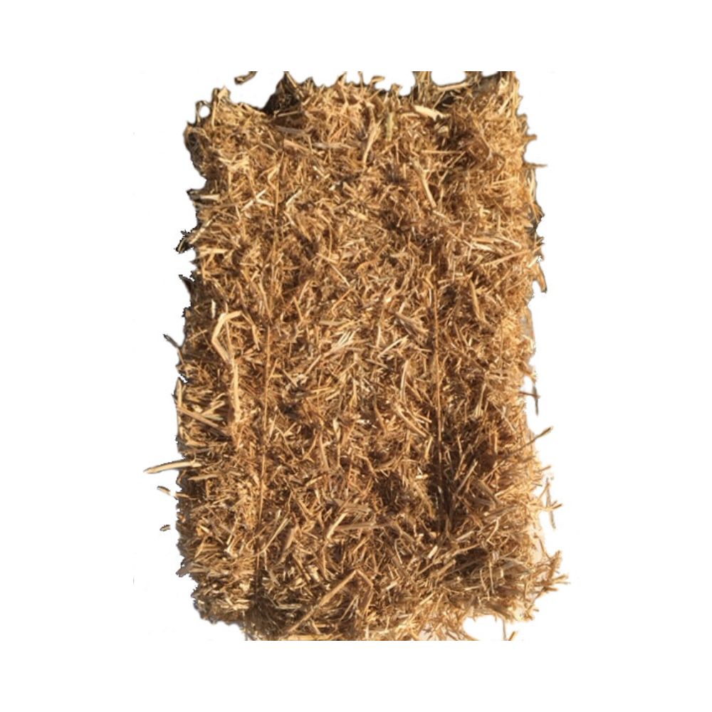 Erbsenstroh 10 kg Pressballen Nahaufnahme – Natur-Einstreu im Tierfutterpro Shop