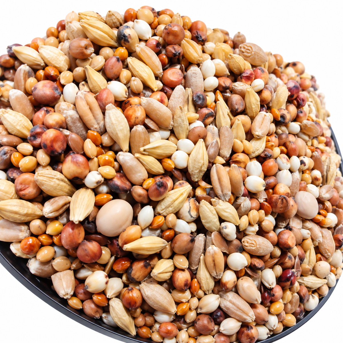 FooFine Kurzschnäbler Ruhe 25 kg