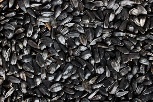 Schwarze Sonnenblumenkerne 2,5kg  für Haustiere im Tierfutterpro Shop