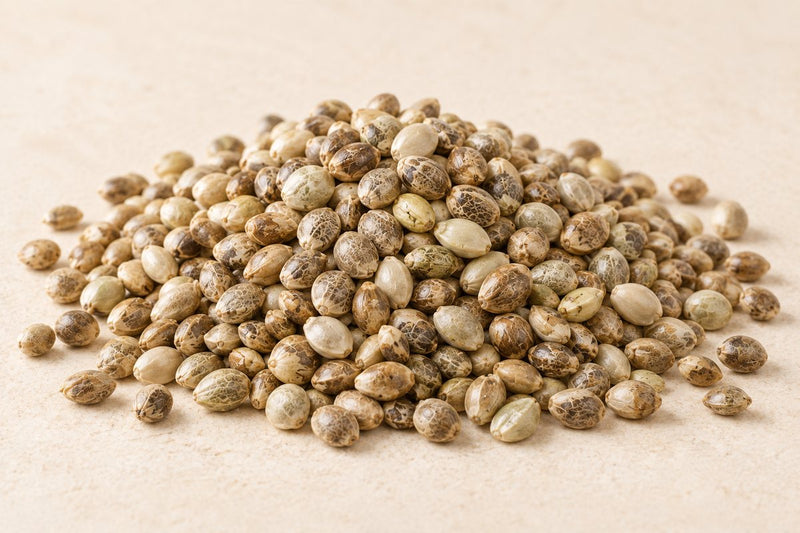 Eurital Feed Hemp – feed illustration