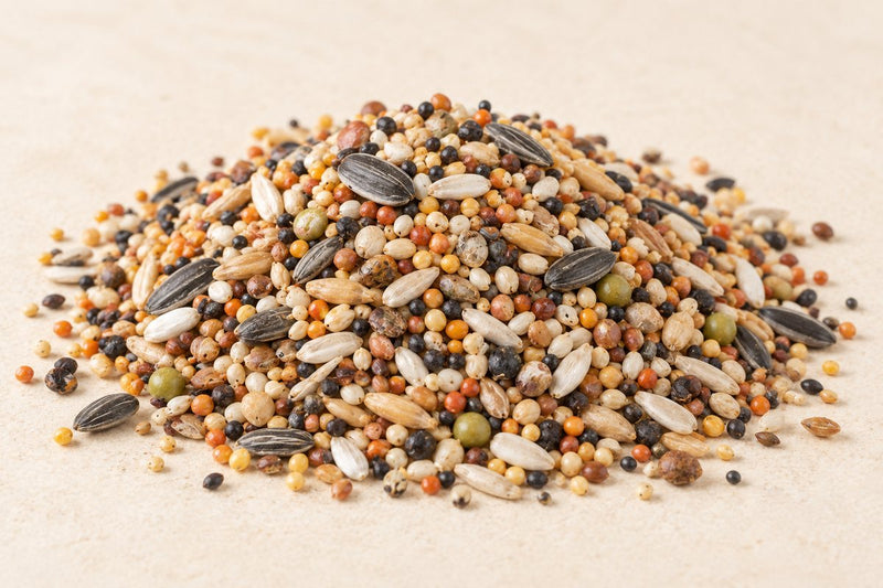Eurital Seed Lure Feed – feed illustration