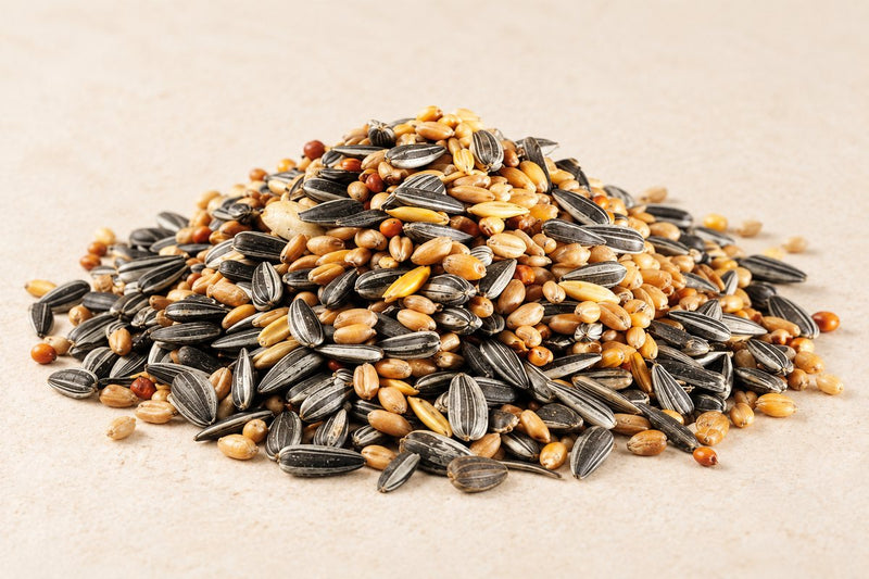 Eurital loose feed 5 kg – feed illustration