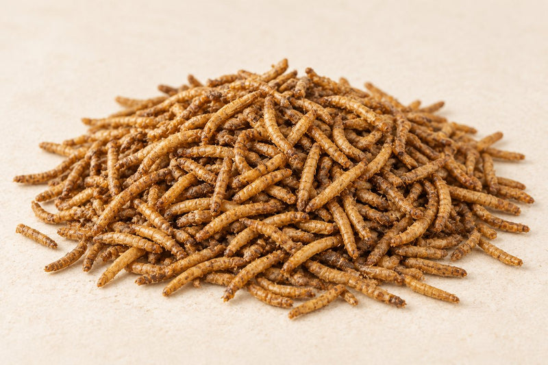 HappyFarms Dried Mealworms - 5kg Foil Bag – feed illustration